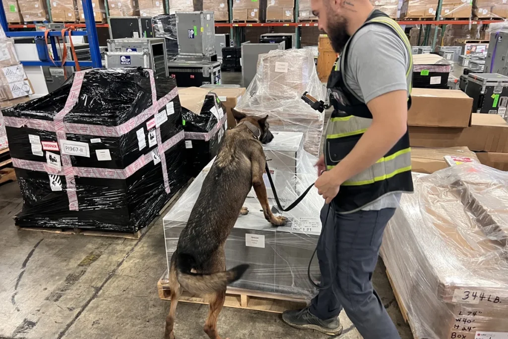 K9 Screening Integration at PTS Miami: Ensuring Safe and Compliant Air Cargo