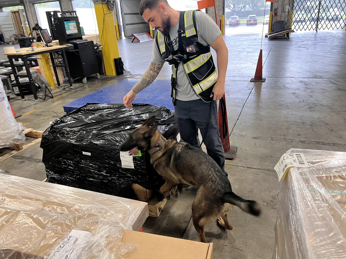 K9 Screening Integration at PTS Miami: Ensuring Safe and Compliant Air Cargo